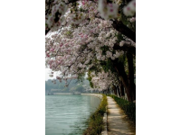 五一游洋沙湖感覺挺好的，人少景也美