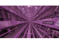 印度人做羊腦花(美食羊腦花)