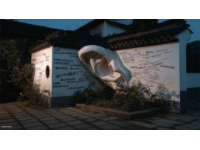 娃哈哈“2025年”商標轉讓申請引熱議：戰略調整還是市場挑戰？