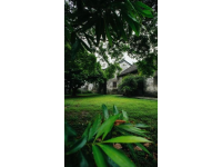 濰坊高密南湖植物園——城市綠洲的詩意棲居**