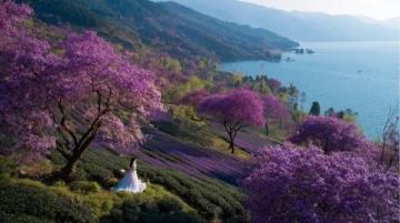 走進春暖花開的閩南美景