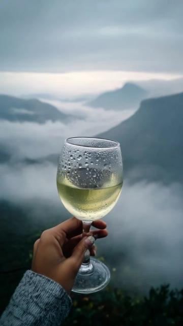 香港的酒文化有什么特色？