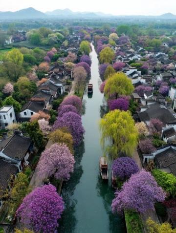 旅游你踩過哪些坑南京的旅游資源頗為豐富，不過在游玩期間可能會碰到一些陷阱