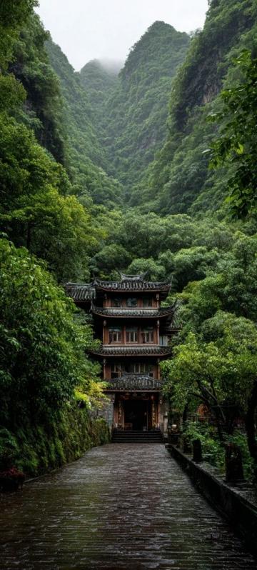 在浙江省的一個偏遠角落，夏陽村曾經是一個鮮有人知的小村莊，然而