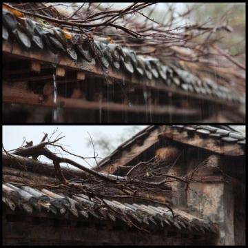 煙雨江南,味蕾飄香