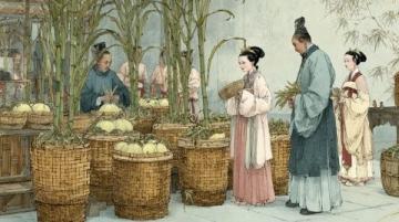 紅樓夢中的姑蘇風(fēng)韻：曹雪芹筆下的蘇州描繪及特色物產(chǎn)