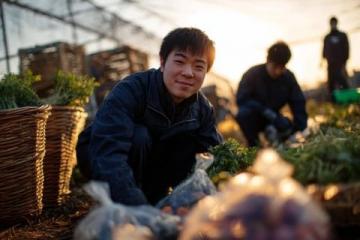 南沙生活體驗：百元購大袋新鮮蔬菜不再是難題