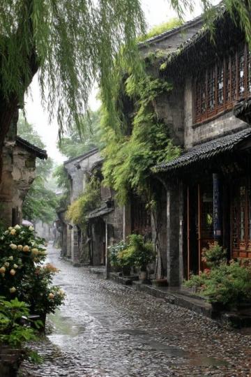 貴州畢節(jié)清晨美景:老城區(qū)里的生機與寧靜