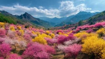 走進春暖花開的閩南美景