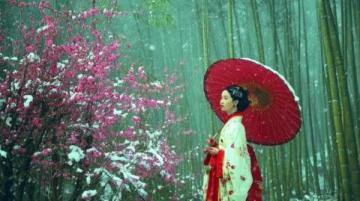 鞍山千山梨花節：非遺與美食盛宴，領略地域風情