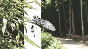 鄉村夏夜捕蟬記：舌尖美味與童年回憶
