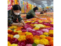 春節途經雞街收費站：對紅河人而言，這里充滿回憶與鄉愁
