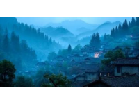 揭秘浙江松陽縣陳家鋪村600年古韻：自駕指南、必打卡景點與美食之旅