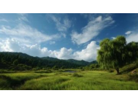 土地性質(zhì)劃分(土地性質(zhì)常識)