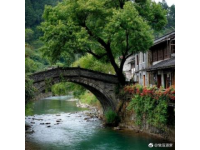 尋味安溪舌尖上的閩南風情