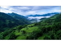 黃山休寧白際鄉：海拔780米的“延遲村”探秘