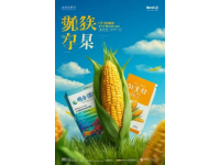 如何制作美味雙皮奶，廣東經典甜品教學指南