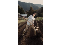 古言權(quán)謀穿越種田文