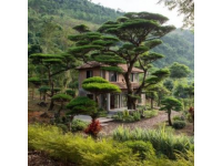 桂林彰泰房產桂林生活網桂林美食地圖（西姐）桂林日報社全媒體桂林