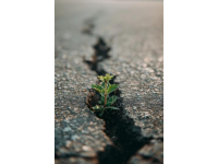 避免無效努力：走出自滿心態，踏上高效學習之路