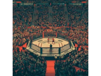 「那些年在UFC呼風喚雨的巴西幫，在UFC中是怎樣一股可怕的勢力？巴西幫
