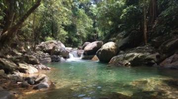 新安江畔三潭枇杷：山水間的甜蜜滋味