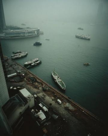 香港鼠患嚴峻：每捉一只老鼠成本約10880元，引發熱議