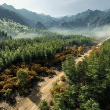 西雙版納深度游全攻略:秘境美景、美食地圖與當地玩法揭秘