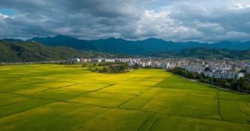 安徽省淮北市：歷史文化與現代經濟并重的魅力之城