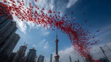 上海迎來白蟻婚飛遷徙季