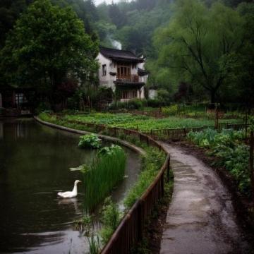 丹鳳朝陽之意：探訪大理鳳陽邑古村