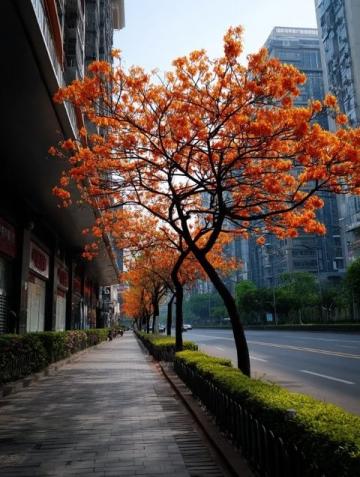春日花開時節(jié)，蘇州杭州河鮮嘗鮮記
