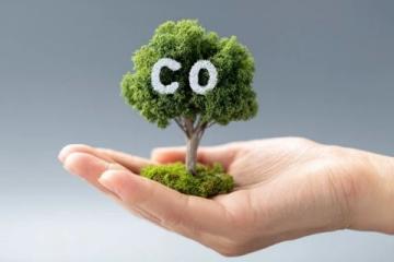 碳減排專家：掌握碳排放基礎知識