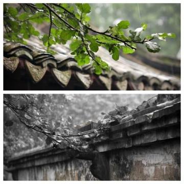 煙雨江南,味蕾飄香