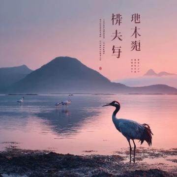 以下是為云南旅游量身打造的原創(chuàng)爆款文案攻略，結合自然風光、人文風情與深度體驗