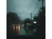 小雨再次淅瀝落下