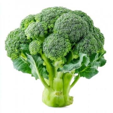 推薦一種寶寶抗拒的蔬菜:西藍花
