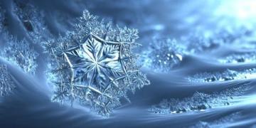 鮮為人知的冷知識:從日常生活到科學奧秘