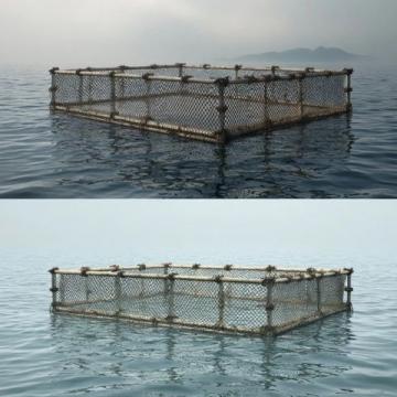 三點必知!養殖青魚的水深度、密度和水環境管理秘籍