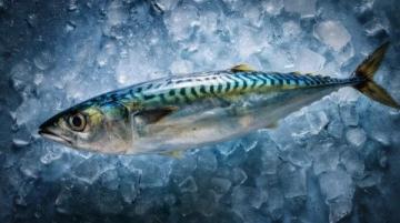 食用須知:這種河鮮魚籽含劇毒,煮熟也無法消除危險