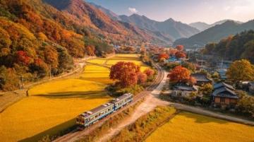荔波小七孔旅游攻略:門票、交通與必游景點(diǎn)全指南
