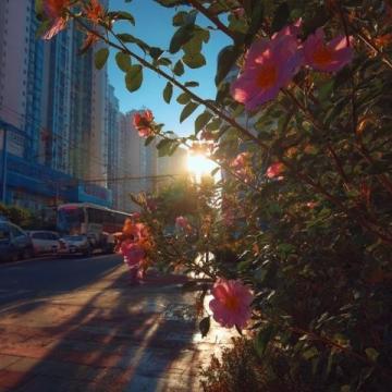 合肥五一游玩攻略：好天氣邂逅寶藏景點(diǎn)，速來打卡！
