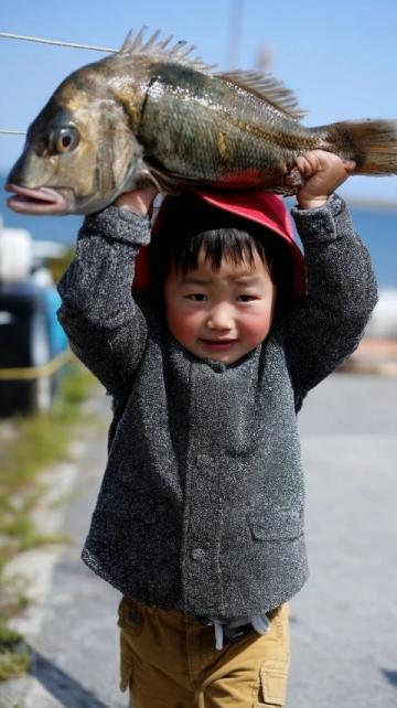 30元一條的無刺全肉魚，營養豐富補腦佳品最適合孩子吃