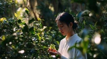 春天野菜怎么吃？教你簡(jiǎn)單又營(yíng)養(yǎng)的薺菜炒雞蛋做法
