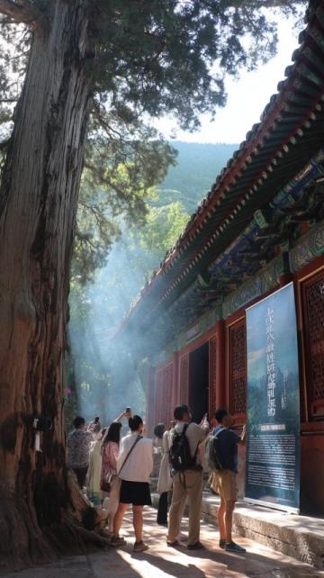 青島高中生參加合格考,校外午餐偶遇嶗山美景