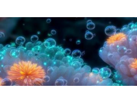 探索廈門美食秘境：老二市口土筍凍的獨(dú)特魅力
