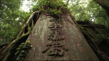 陳龍居士考察鶴山橫江后山風水:探討鐘氏家族墓穴選址問題