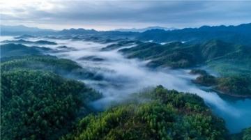 珠海香山湖公園:自然美景與文化娛樂結合的理想休閑地