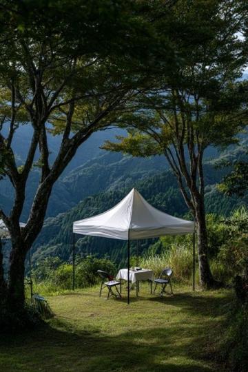 紫溪山避暑全攻略（紫溪山美食）