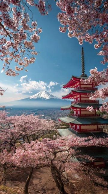 2025日本旅行攻略解鎖新玩法與經(jīng)典體驗(yàn)